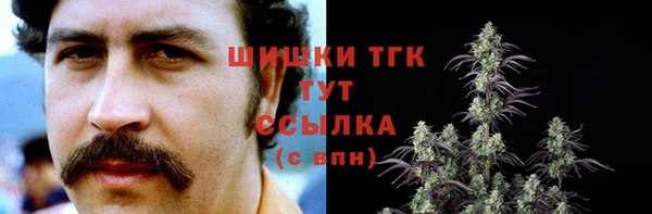 дживик Балахна