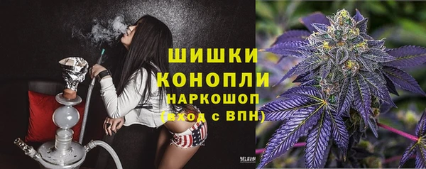 индика Саяногорск