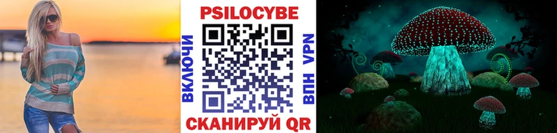 Галлюциногенные грибы MAGIC MUSHROOMS  блэк спрут сайт  Борзя 